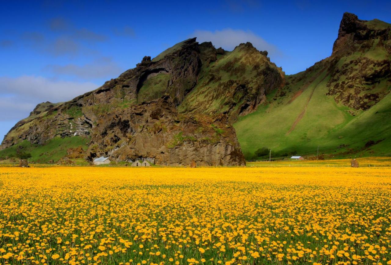 Cozy Cottage By Stay Iceland Hvolsvöllur Habitación foto